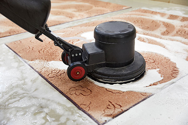 Carpet and Area Rug Cleaning Services