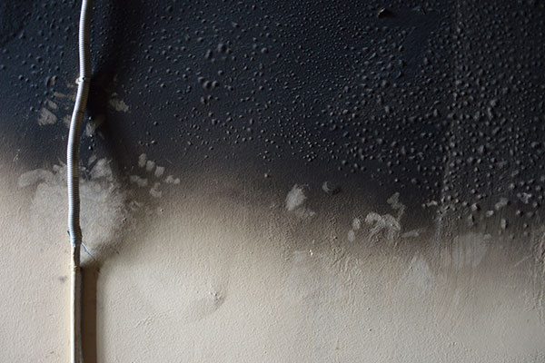 Cleaning and Restoration Services