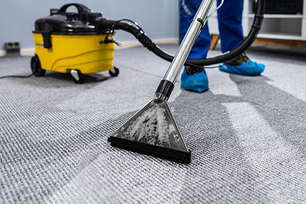 Learn More About Carpet and Rug Services