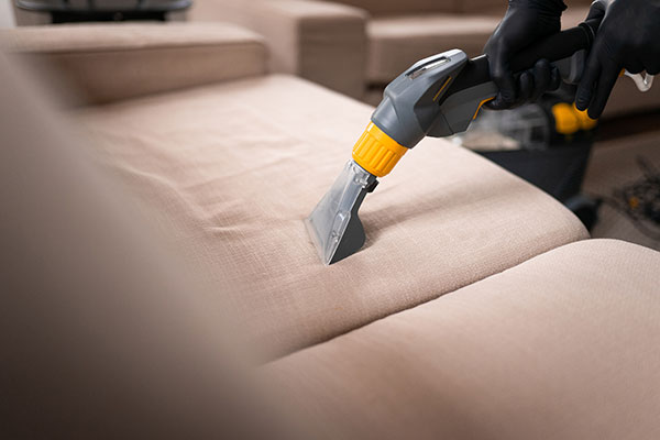Learn More About Upholstery and Fabric Cleaning