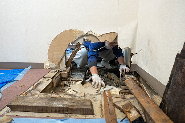 Learn More About Water Damage Restoration
