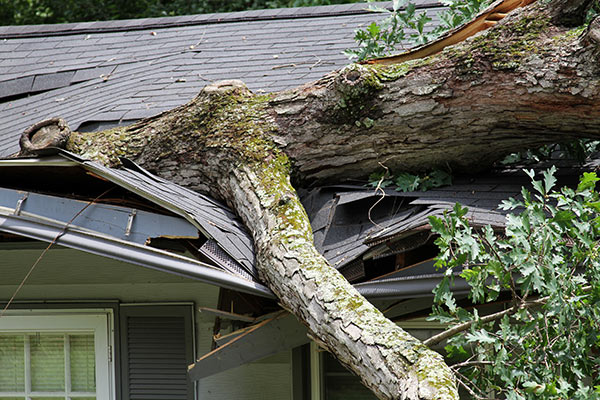 Storm Damage Restoration Services
