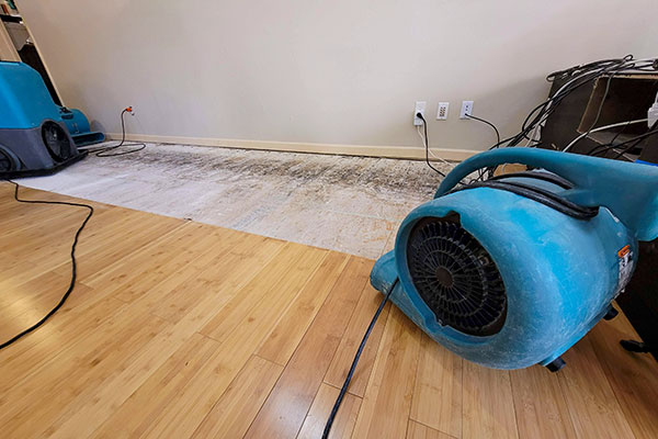 Water Damage Restoration Services