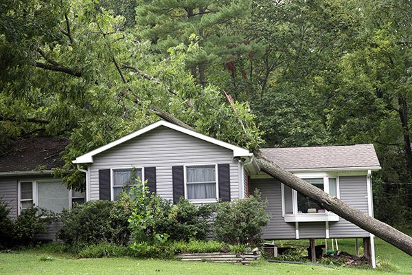 Storm Damage Repair